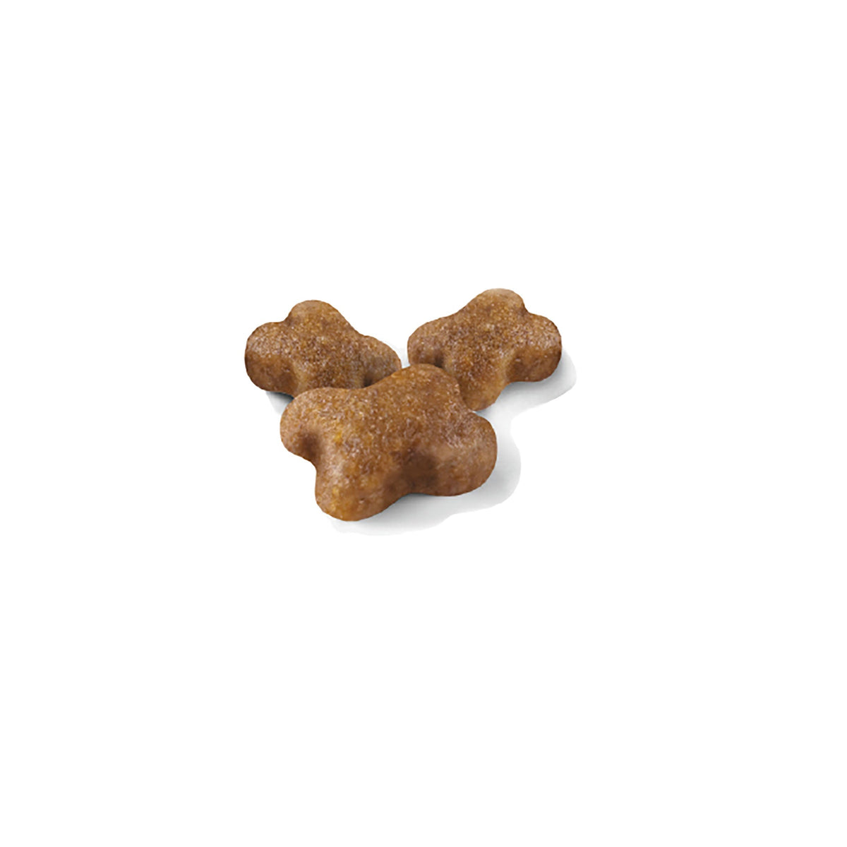 プロ キトン