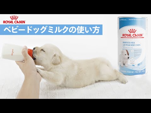 プロ ベビードッグ ミルク