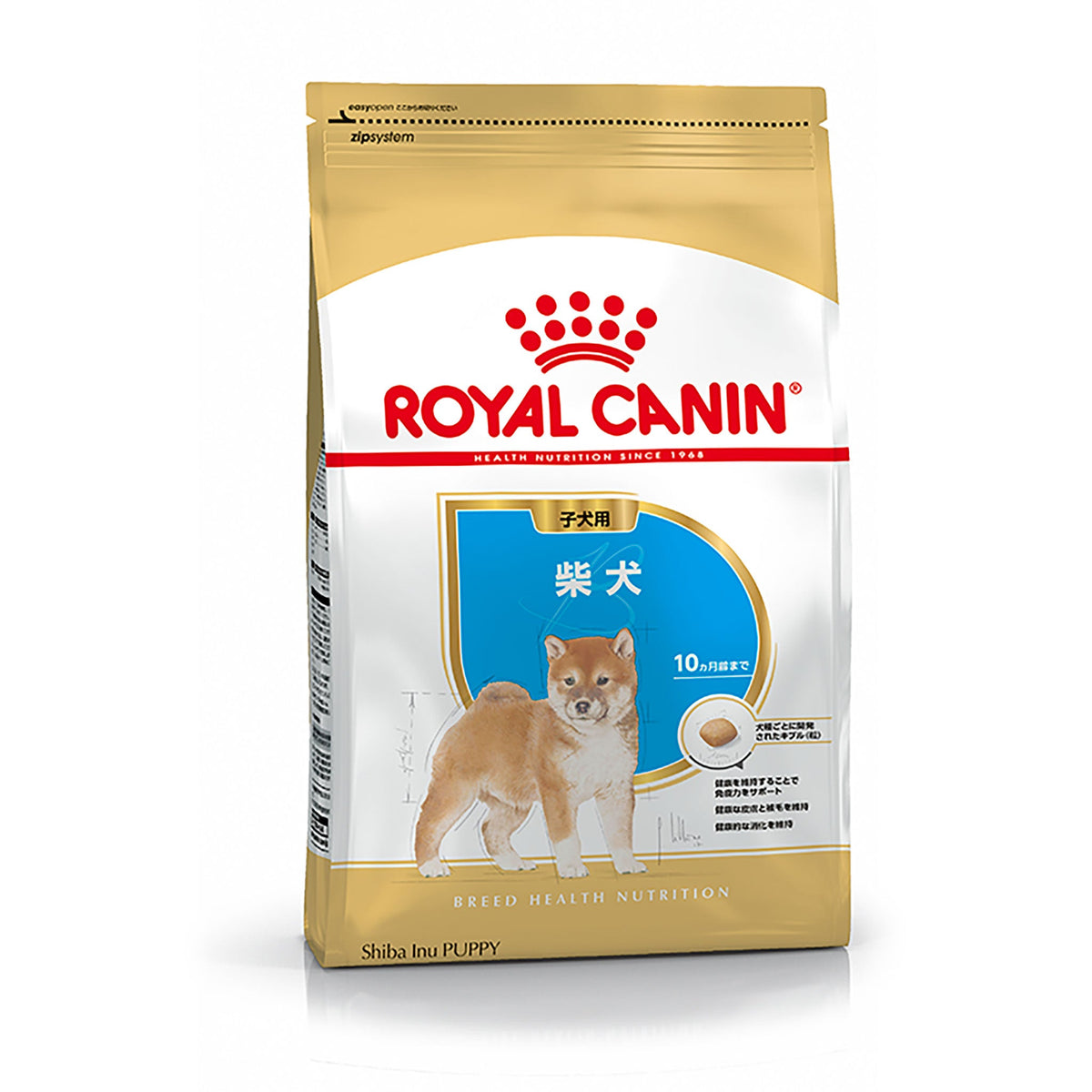プロ 柴犬 子犬用