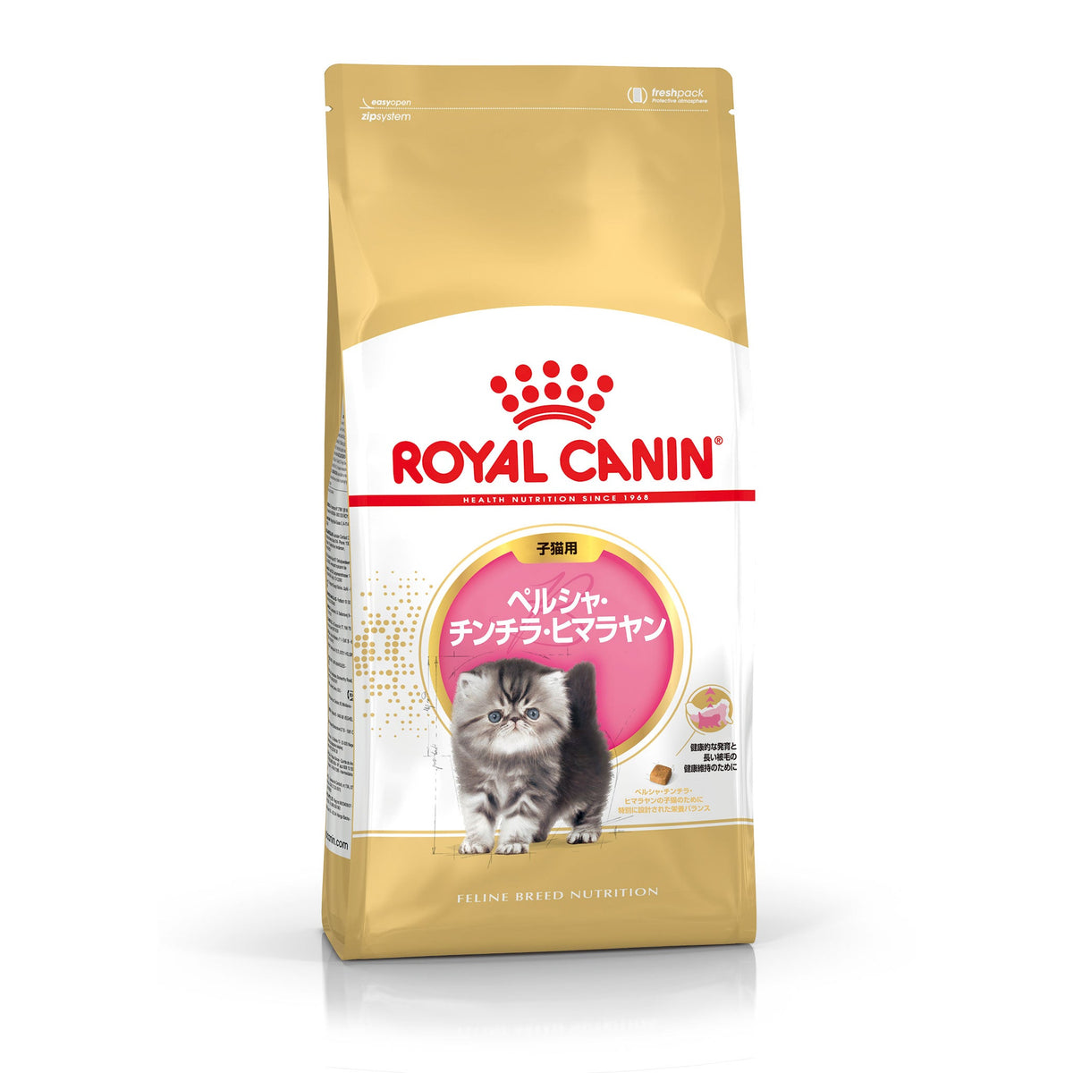 プロ ペルシャ・チンチラ・ヒマラヤン 子猫用