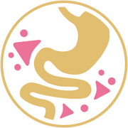 健康的な消化の維持