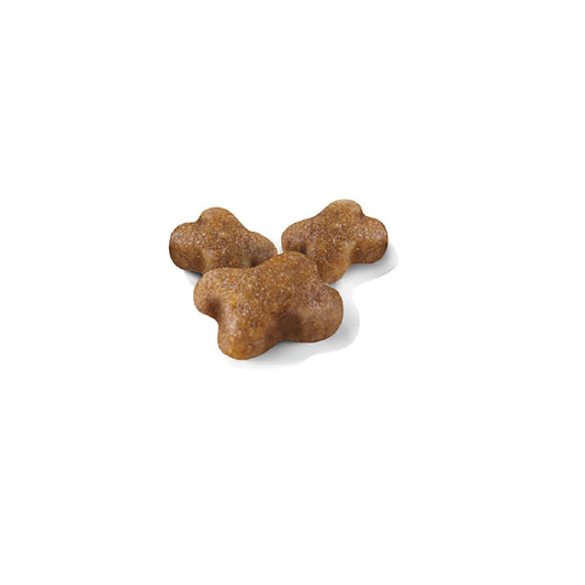 プロ キトン