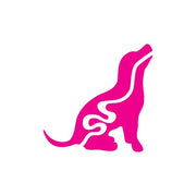 健康的な消化の維持をサポート