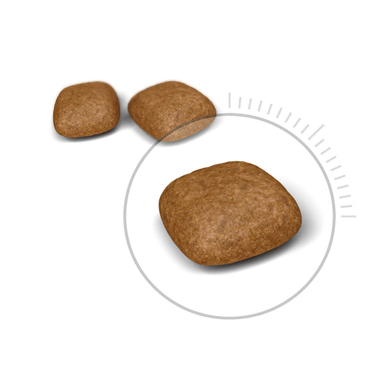 プロ ユリナリー ケア