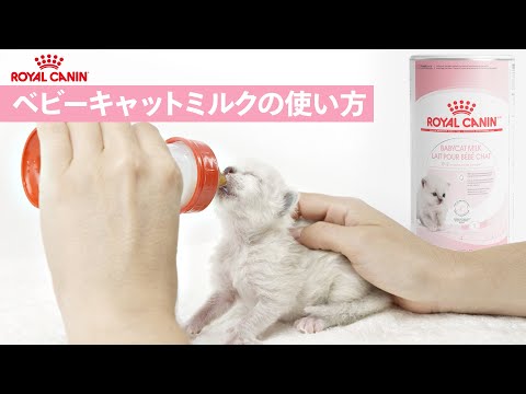 プロ ベビーキャット ミルク